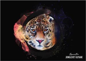Jungle vet tigre